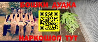 дмт Дубна