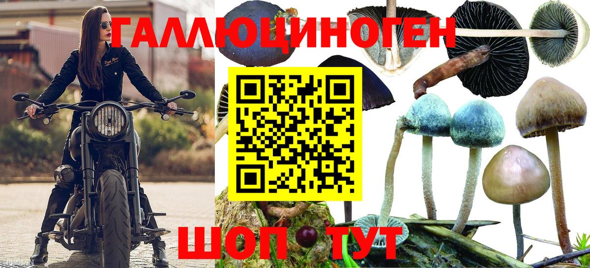 Псилоцибиновые грибы GOLDEN TEACHER Малоярославец